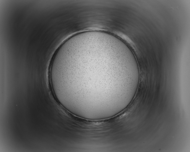 X0000088911423200707061337