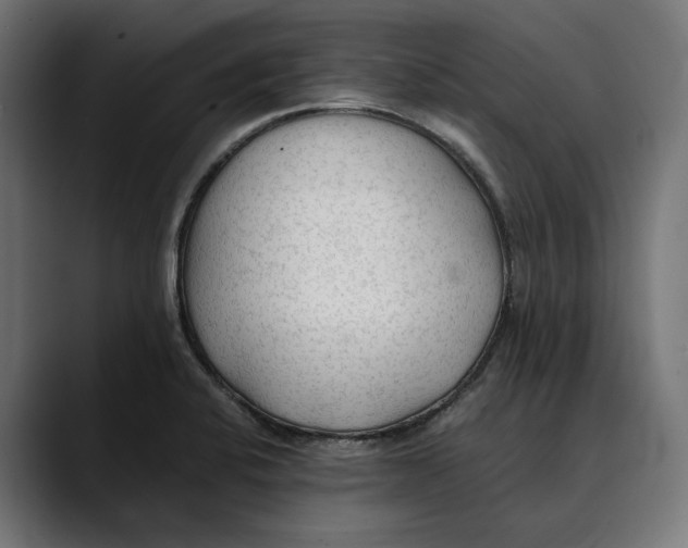 X0000088911424200707061337