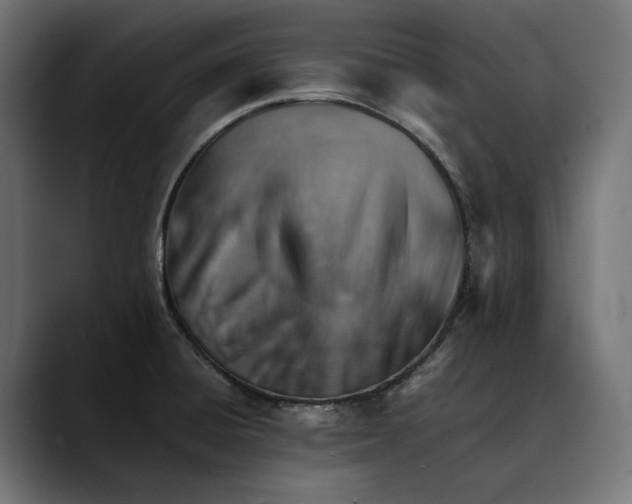 X0000088911428200707061337