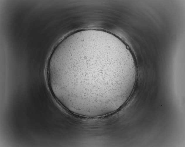 X0000088911429200707061337