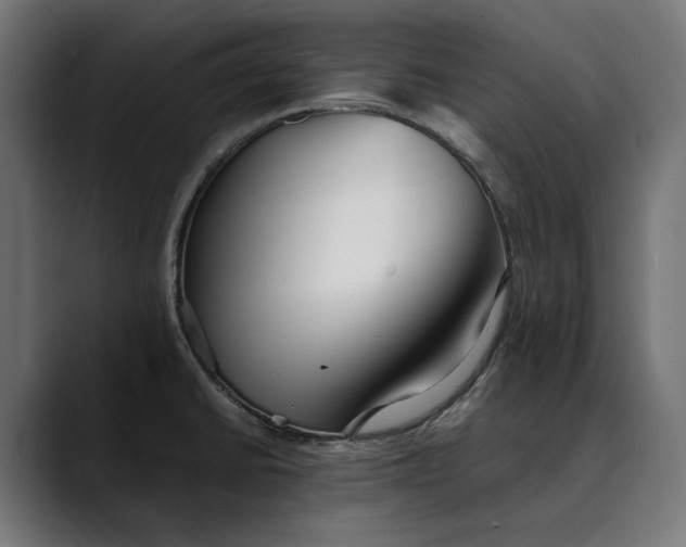 X0000088911430200707061337