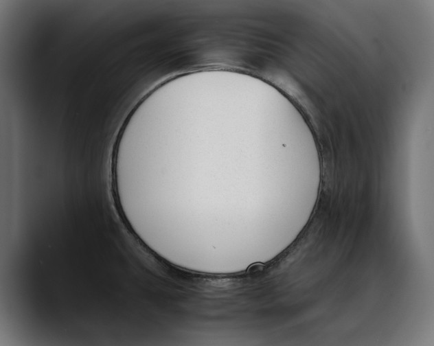 X0000088911431200707061337