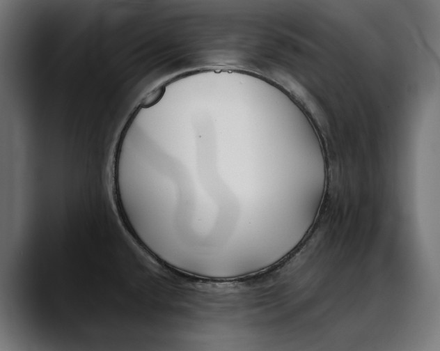 X0000088911432200707061337