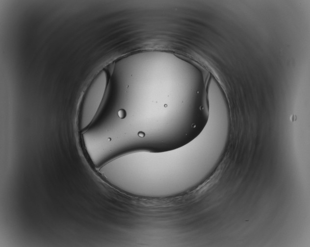 X0000088911434200707061337