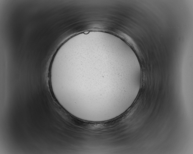 X0000088911435200707061337