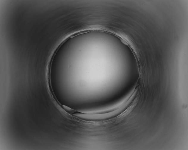 X0000088911438200707061337