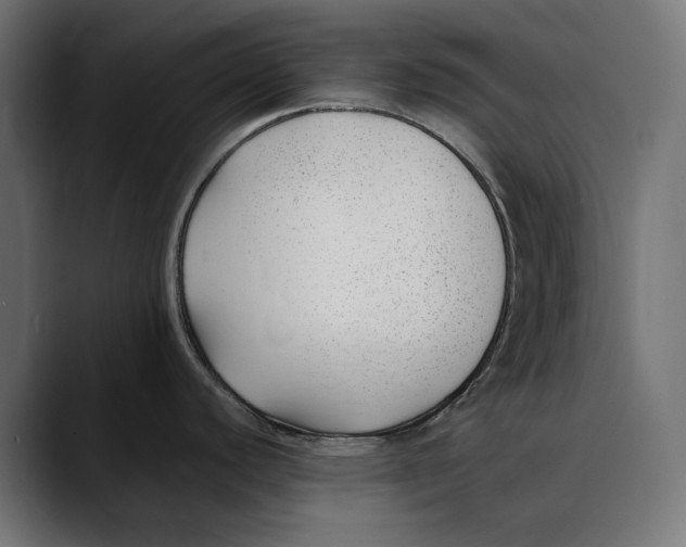 X0000088911440200707061337