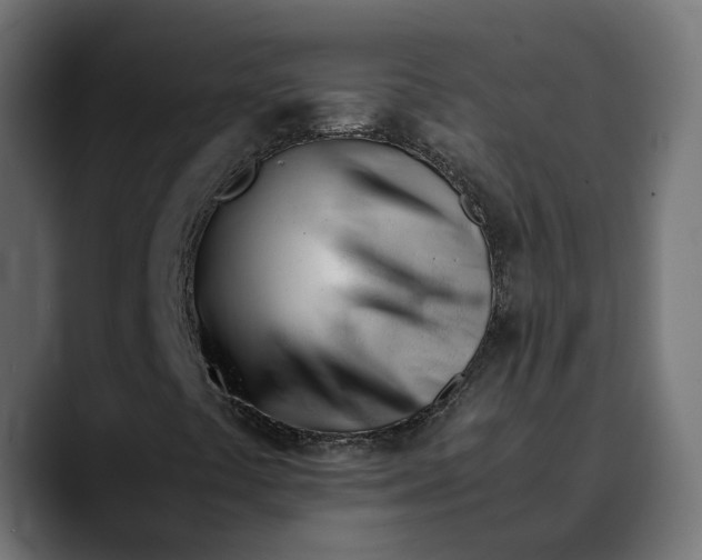 X0000088911441200707061337