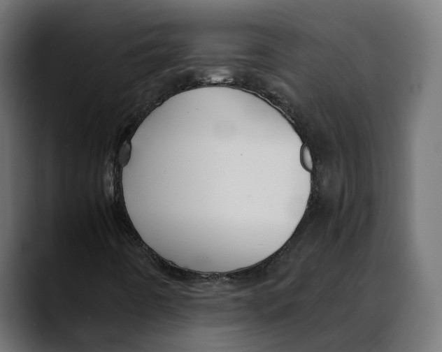 X0000088911442200707061337