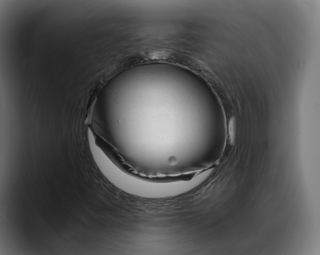 X0000088911443200707061337