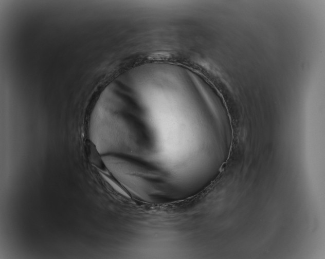 X0000088911445200707061337