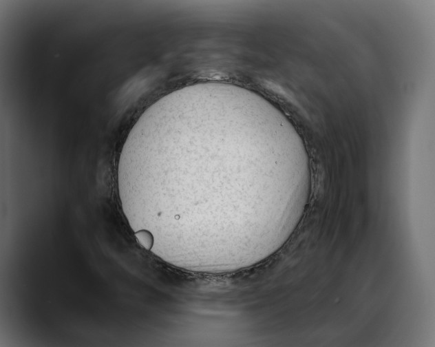 X0000088911446200707061337