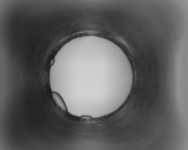 X0000088911448200707061337