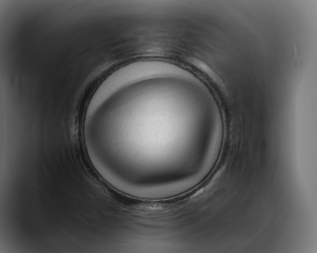 X0000088911450200707061337