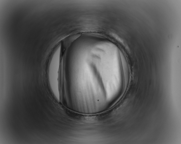 X0000088911453200707061337