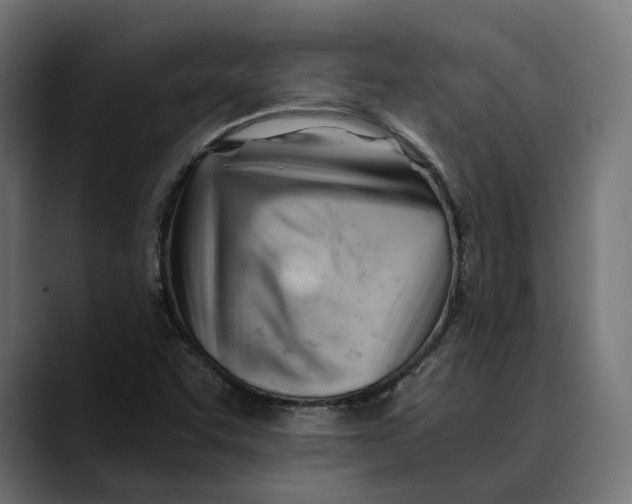 X0000088911455200707061337