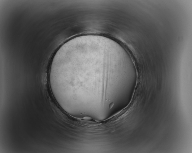 X0000088911459200707061337