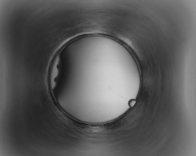 X0000088911460200707061337