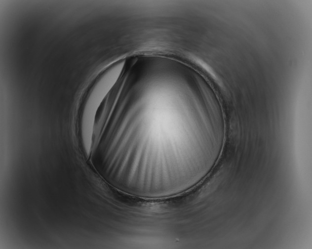 X0000088911461200707061337