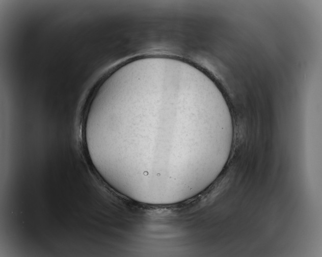 X0000088911462200707061337