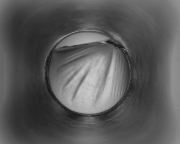 X0000088911463200707061337