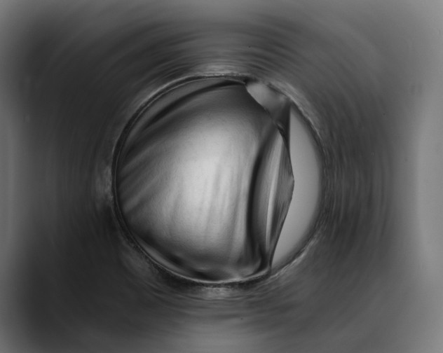 X0000088911465200707061337