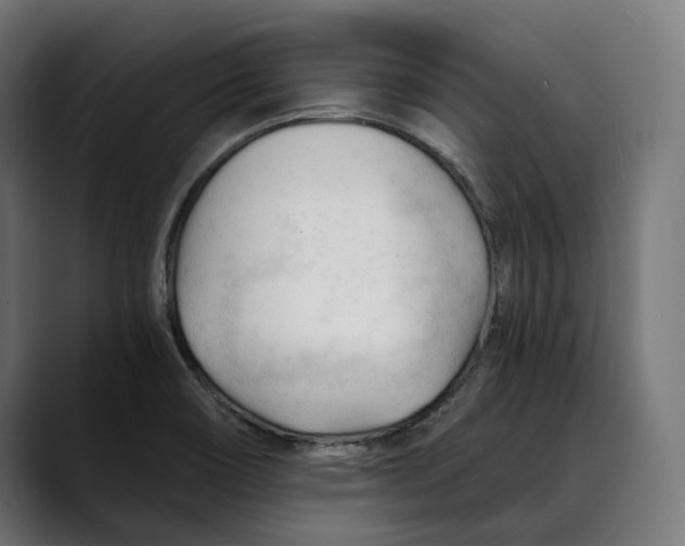 X0000088911466200707061337