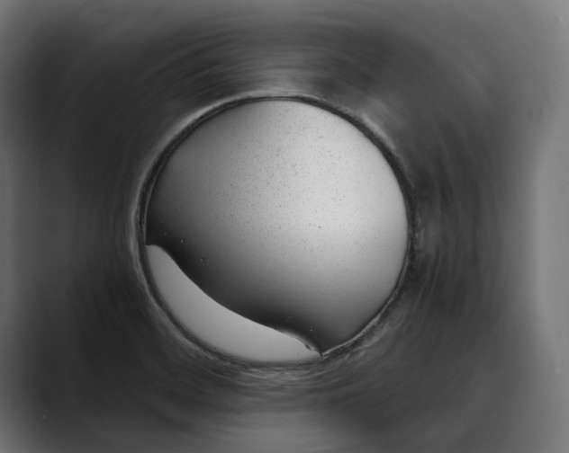 X0000088911468200707061337