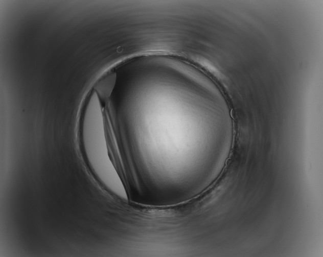 X0000088911469200707061336