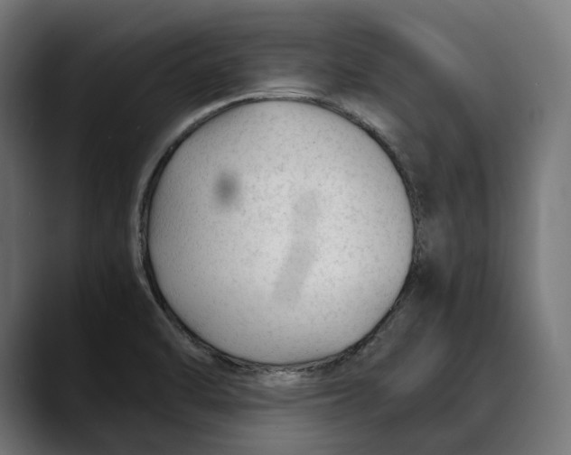 X0000088911470200707061336