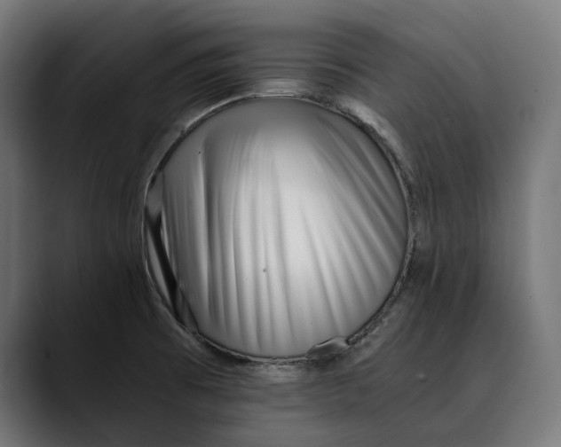 X0000088911473200707061336