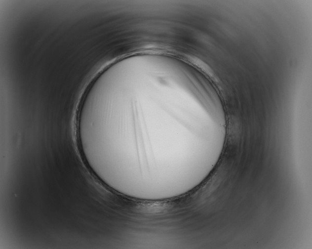 X0000088911474200707061336