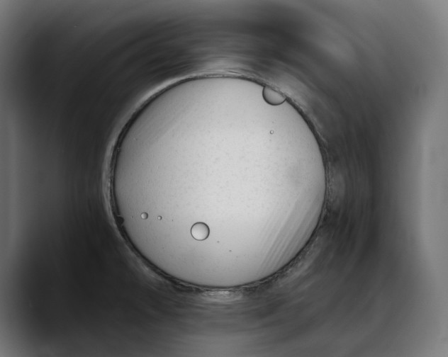 X0000088911478200707061336