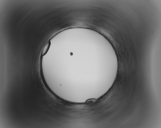 X0000088911479200707061336