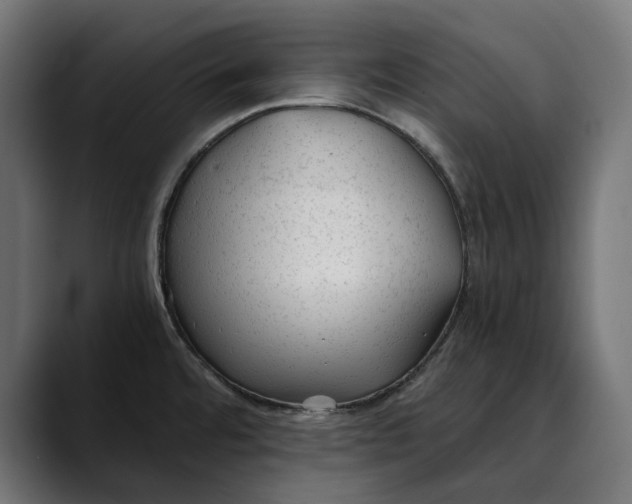 X0000088911480200707061336