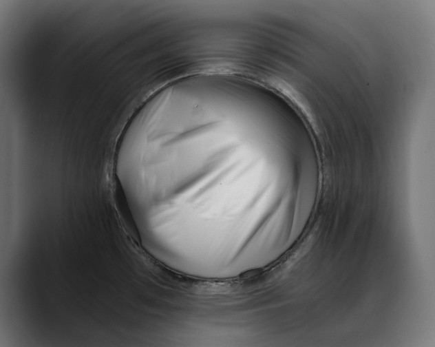 X0000088911481200707061336