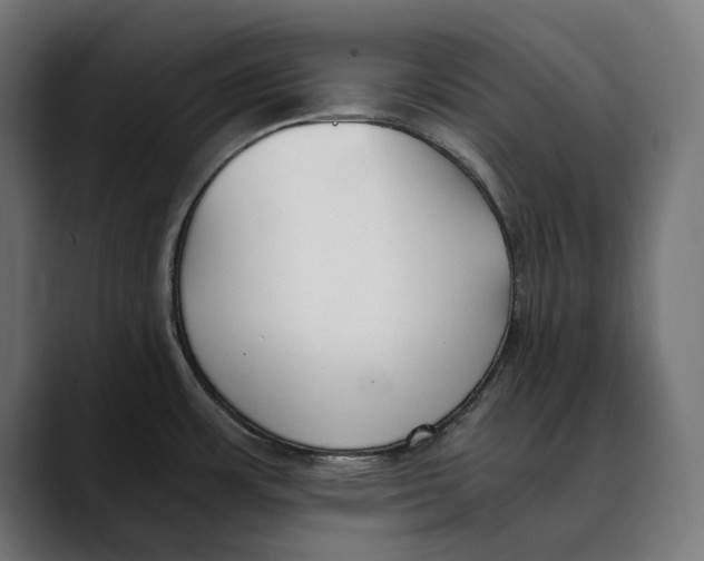 X0000088911483200707061336