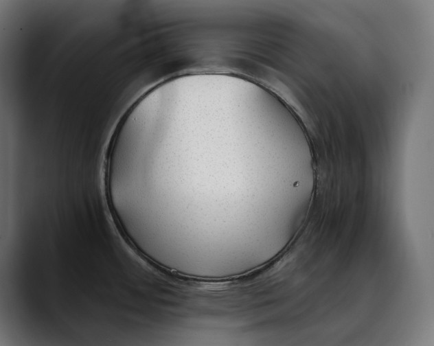 X0000088911484200707061336