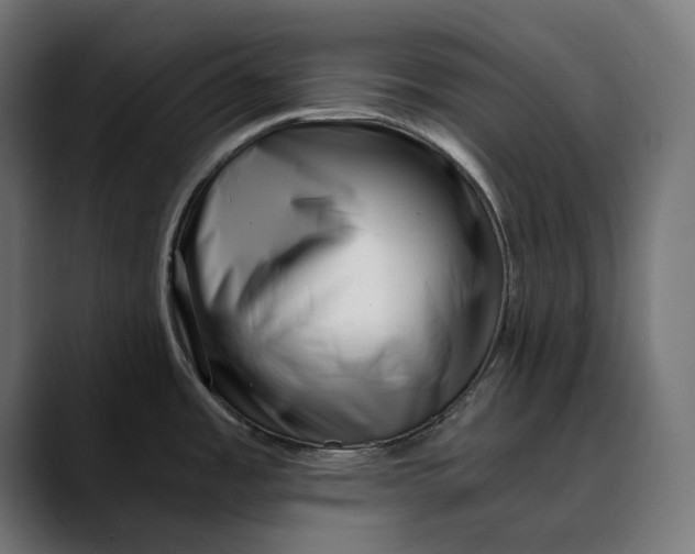 X0000088911485200707061336