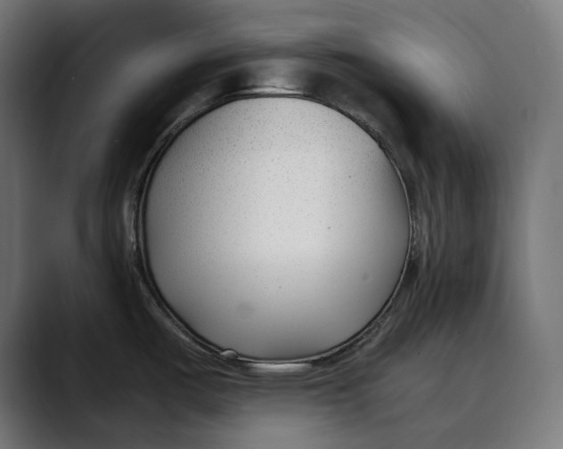 X0000088911487200707061336