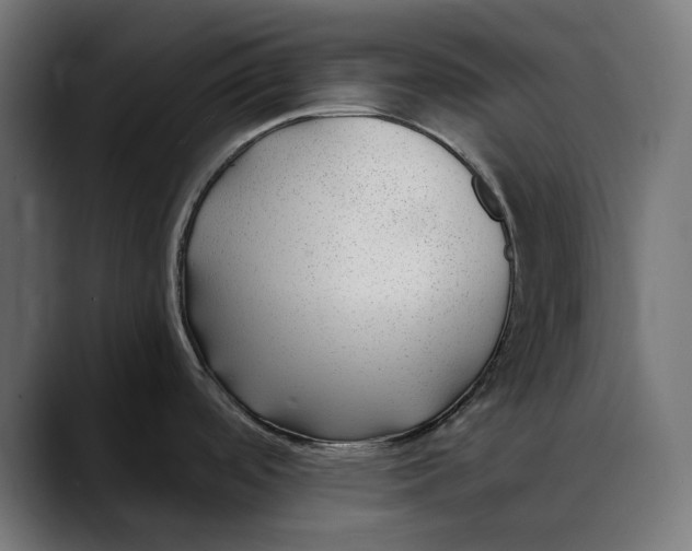 X0000088911488200707061336