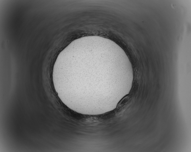 X0000088911489200707061336