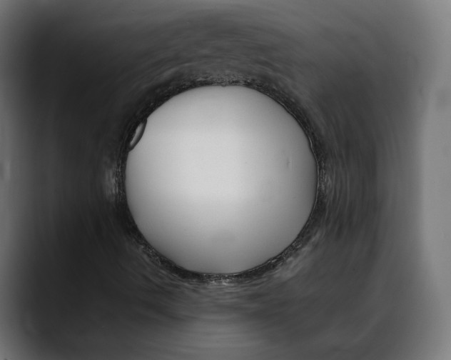 X0000088911490200707061336