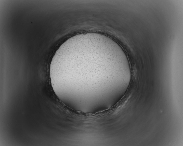 X0000088911494200707061336