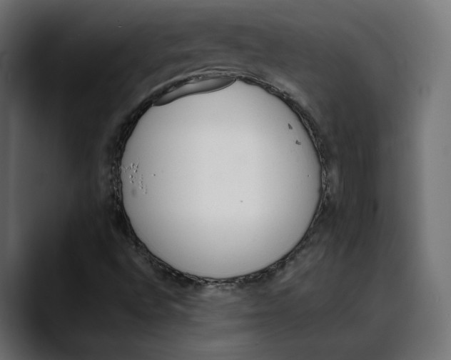 X0000088911496200707061336