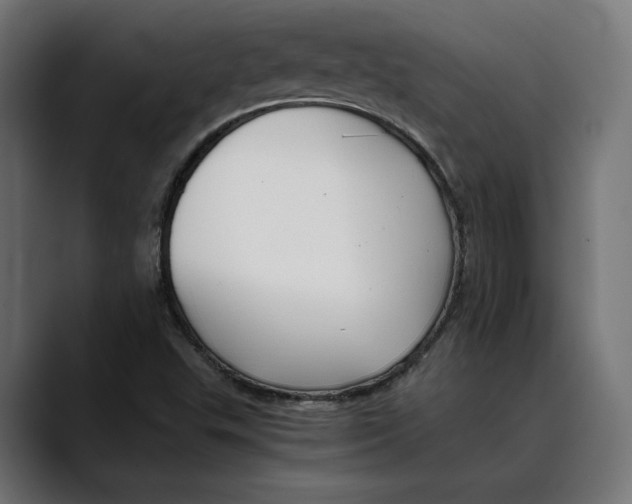 X0000088911503200707061336