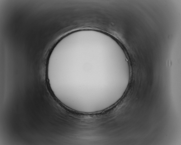 X0000088911504200707061336