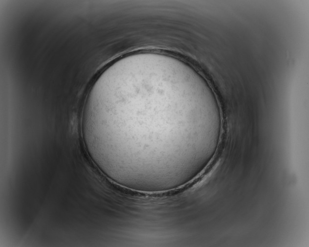 X0000088911505200707061336