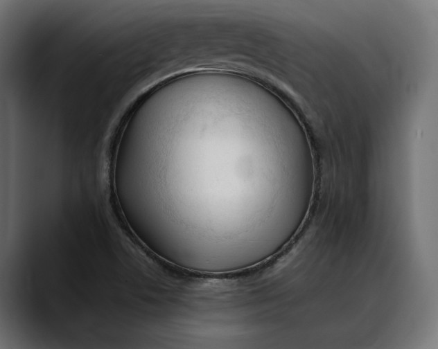 X0000088911506200707061336