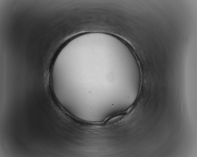 X0000088911507200707061336